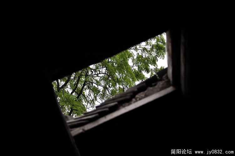 窗 (4).jpg
