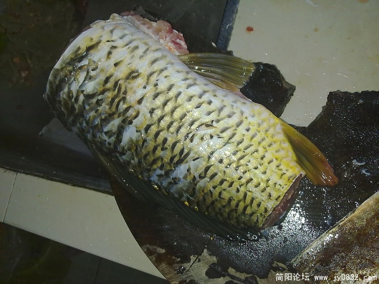 20100320769.jpg