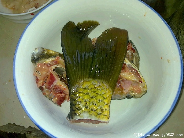 20100320770.jpg