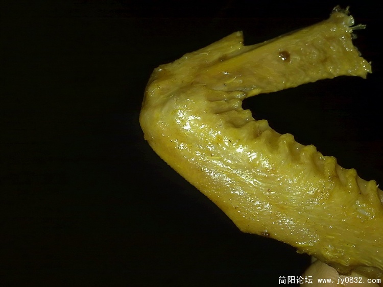 20100320775.jpg