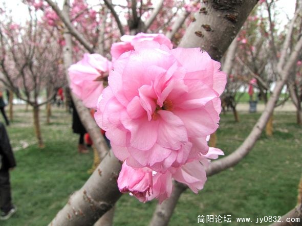 nEO_IMG_IMG_8822.jpg