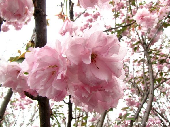 nEO_IMG_IMG_8824.jpg