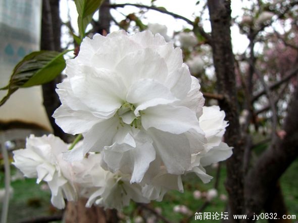 nEO_IMG_IMG_8858.jpg