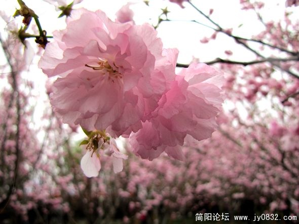 nEO_IMG_IMG_8908.jpg