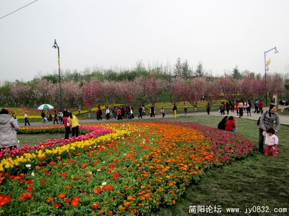 nEO_IMG_IMG_8921.jpg