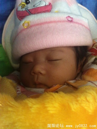 201003274177.jpg