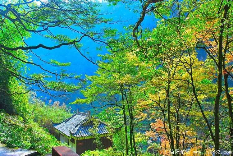 山间景观.JPG