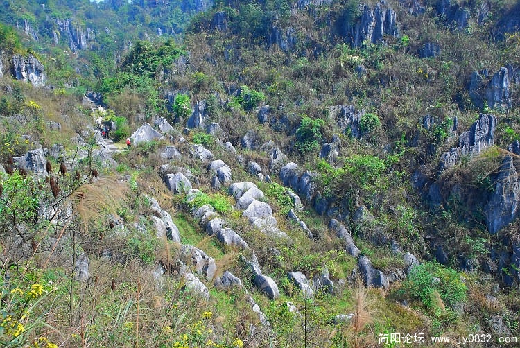 “群羊下山”.JPG