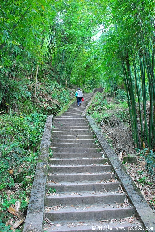 八仙山.jpg