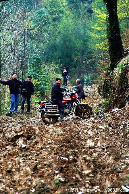 BigBull_DSC_9330.JPG