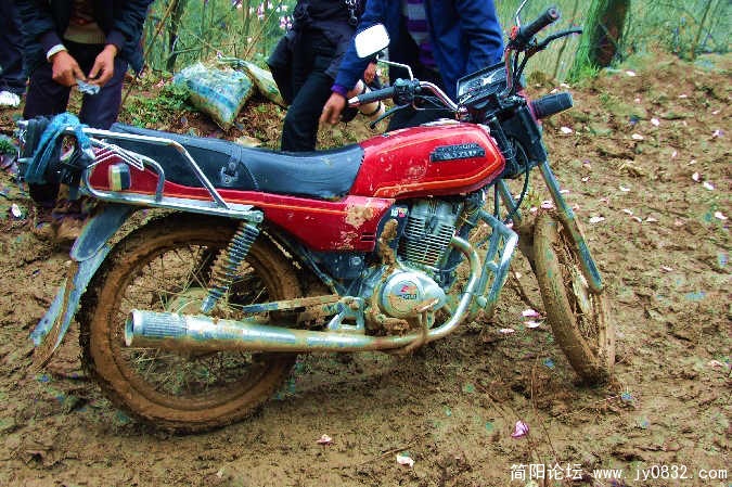 BigBull_DSC_9328.JPG