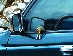 BigBull_DSC_9421.JPG