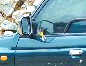 BigBull_DSC_9430.JPG