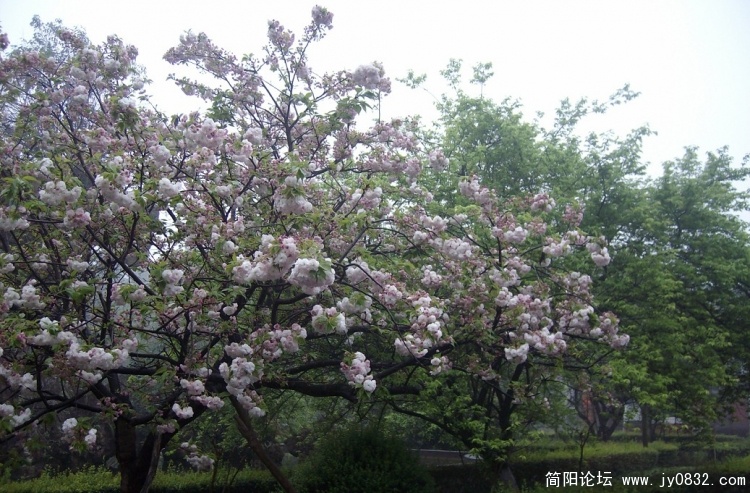 SANY2359.JPG