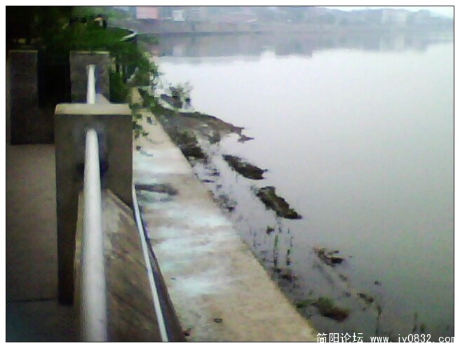 IMG1257A.jpg