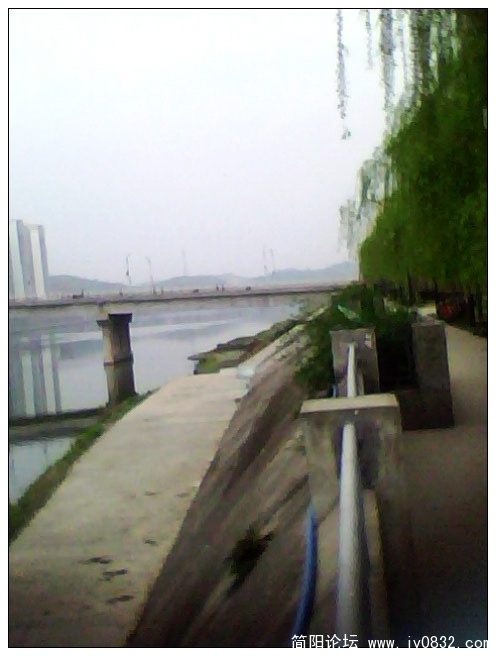 IMG1259A.jpg