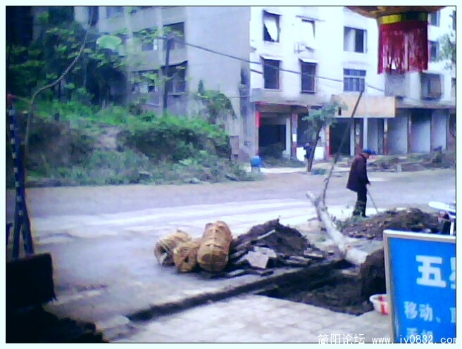 IMG1262A.jpg