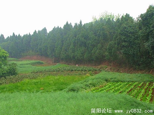 老体协飞骑河西路。 024_副本.jpg