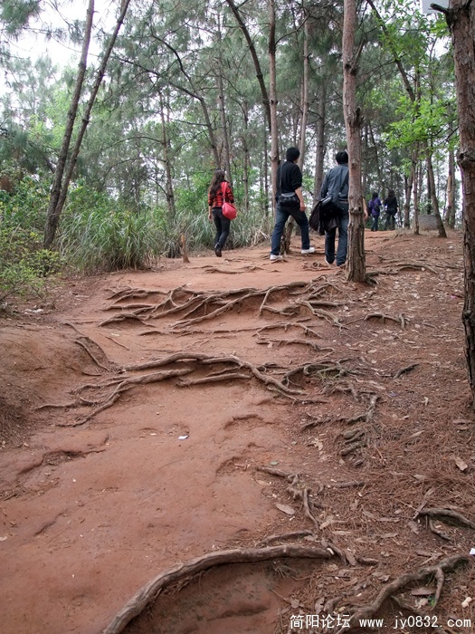 DSCF3093.jpg