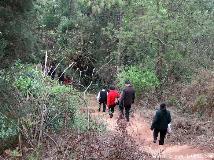 DSCF3096.jpg