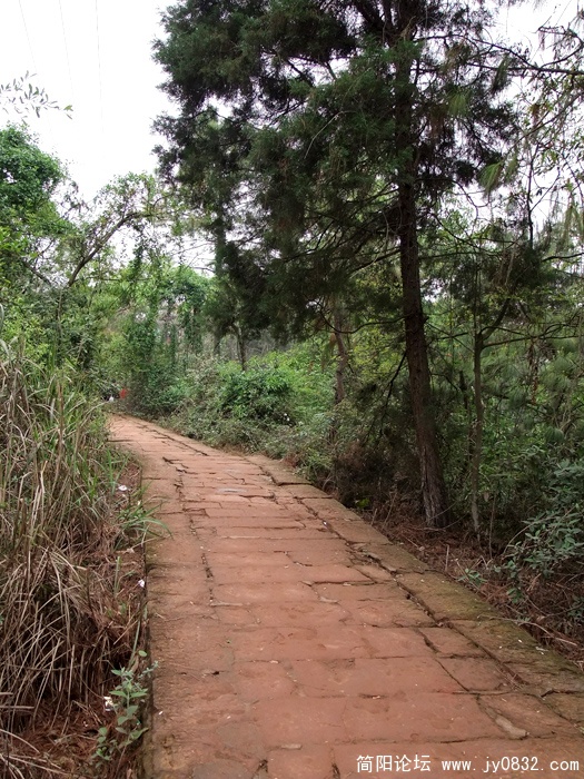 DSCF3098.jpg