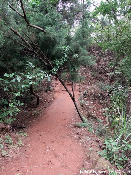 DSCF3097.jpg