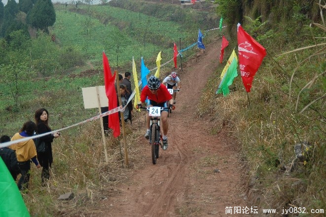 BigBull_DSC_9953.JPG