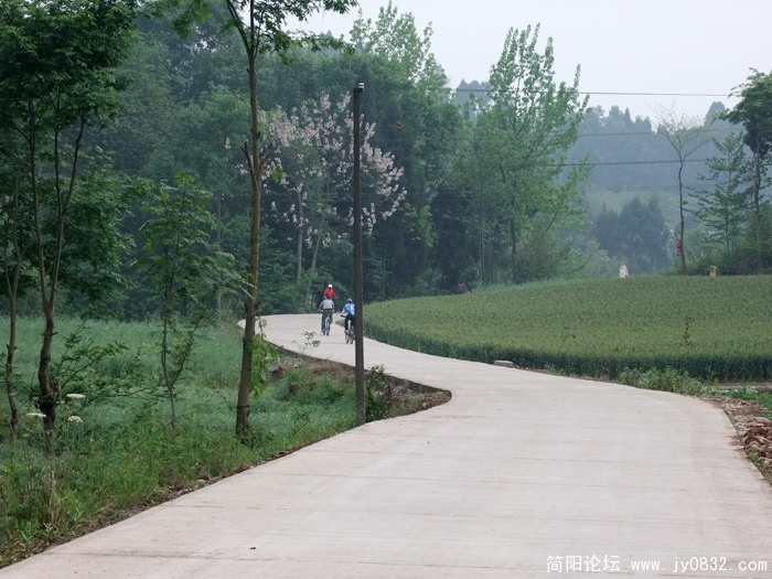 DSCF3377.jpg