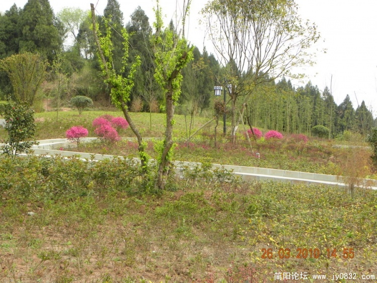DSCN1124_调整大小.JPG