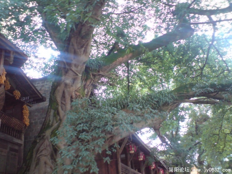 DSC01105_调整大小.JPG