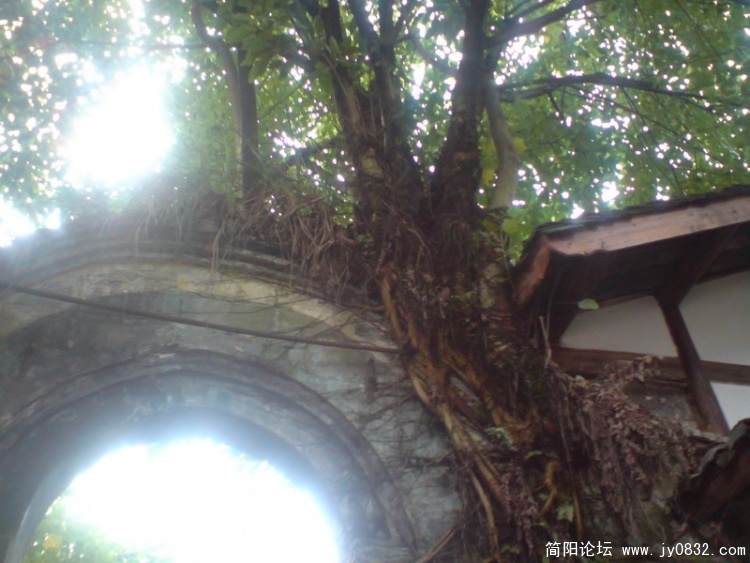 DSC01123_调整大小.JPG