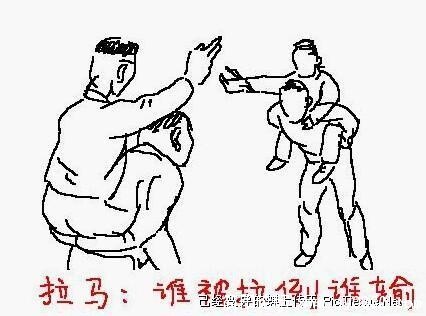 拉马.jpg