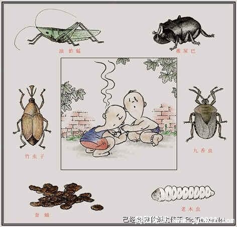 逮推屎爬.jpg