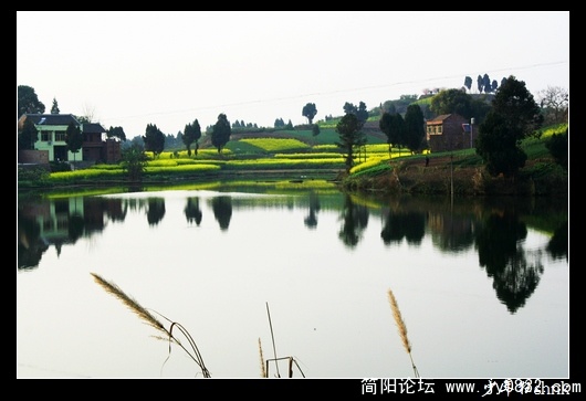 鱼塘春色.jpg