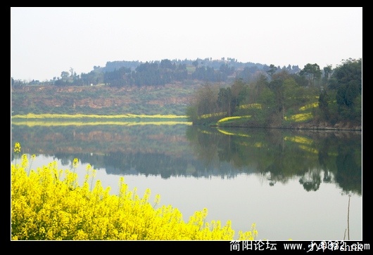 路上好风景.jpg
