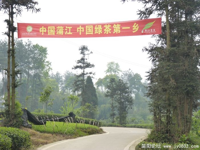 P1000911.jpg