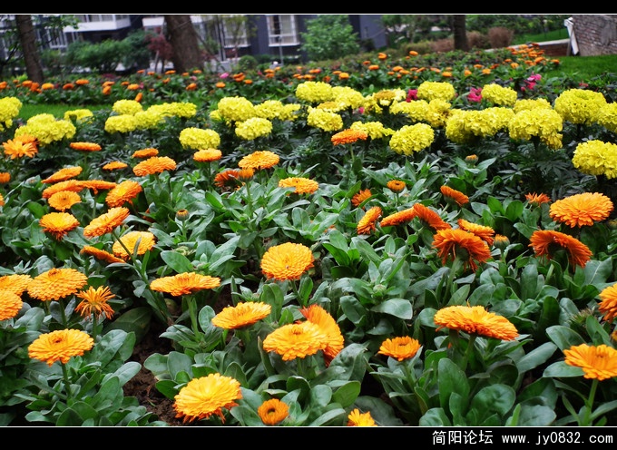 DSCF0972.jpg