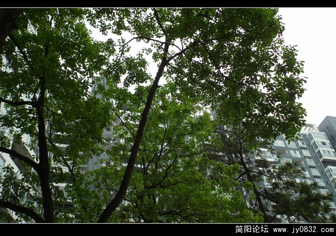DSCF0978.jpg