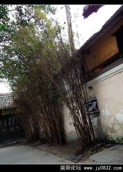 DSCF0990.jpg