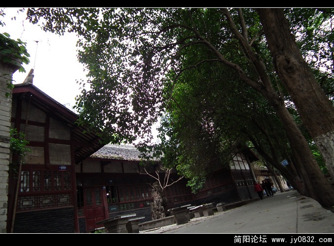 DSCF0997.jpg