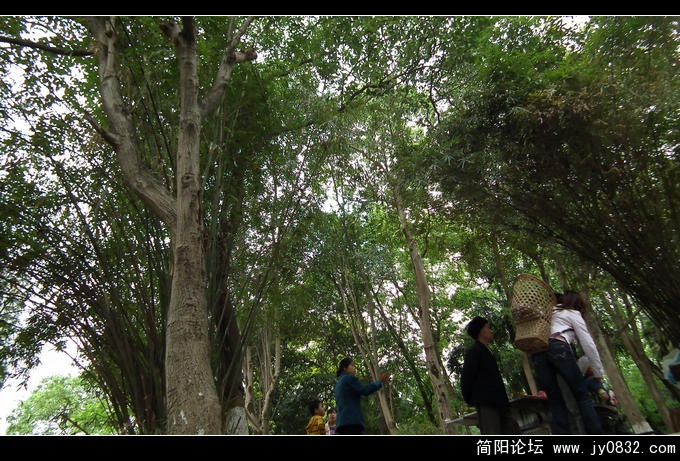 DSCF1007.jpg