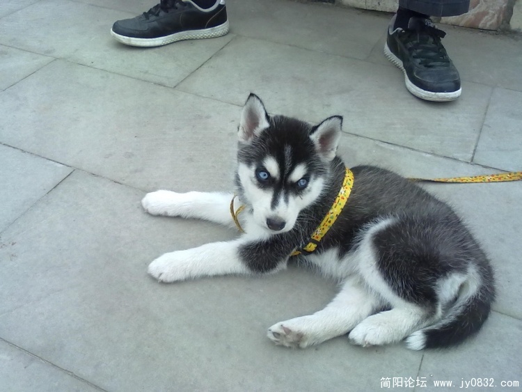 20100424039.jpg