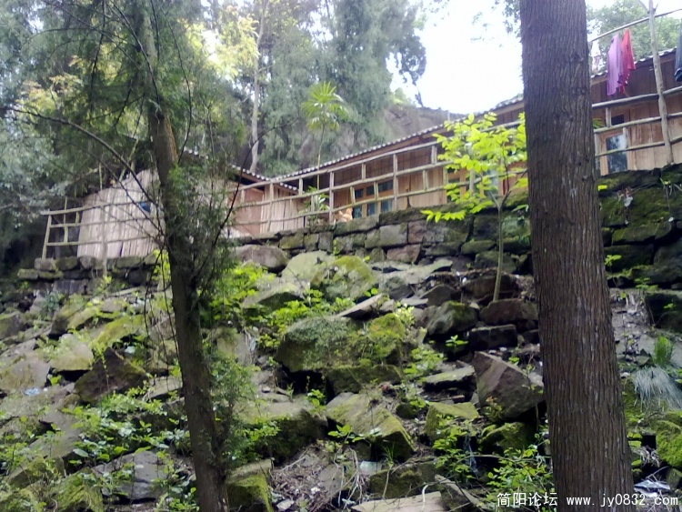 20100424045.jpg
