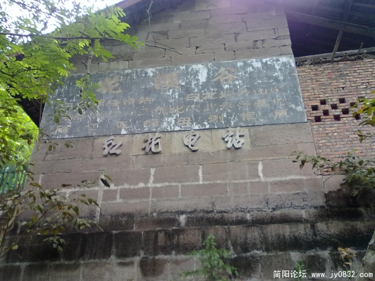 20100424049.jpg