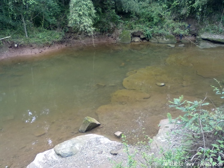 20100424047.jpg