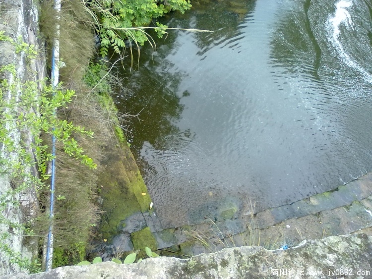 20100424058.jpg