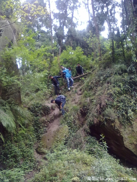 20100424061.jpg