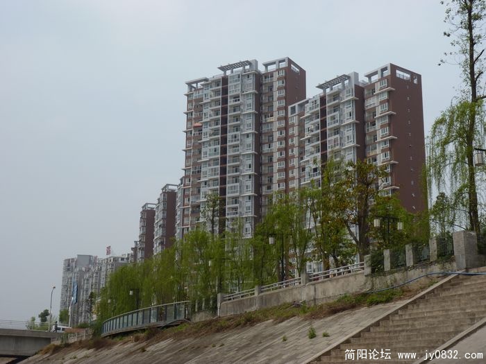 P1000590.jpg
