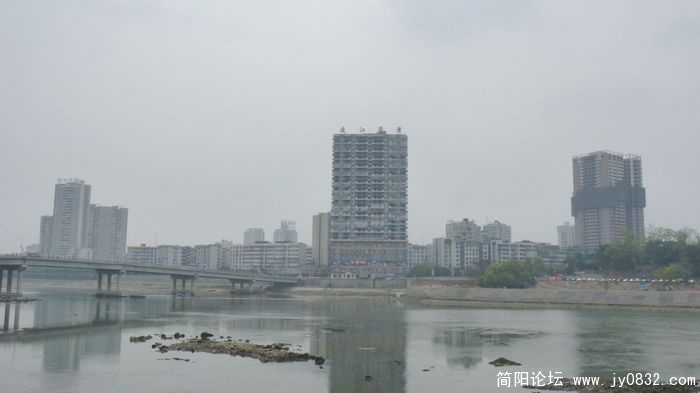 P1000549.jpg