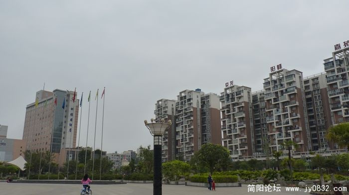 P1000719.jpg